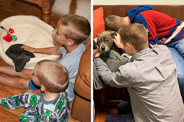 "Prvi i zadnji susret s našim psom Blutom, od prve do zadnje slike prošlo je 15 godina"