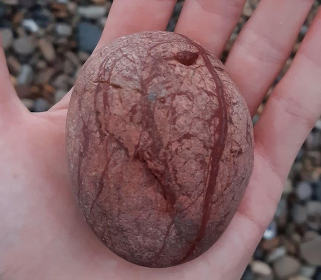 Kamen koji izgleda kao da ima krvne žile