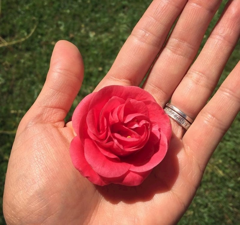 Proizvodi s uljem kamelije