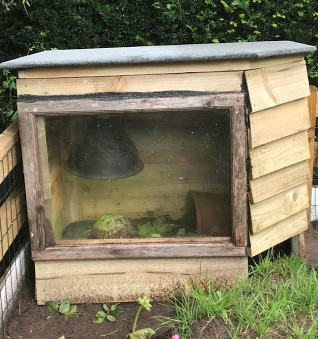 "Moj tata je našoj kornjači napravio malu kućicu"