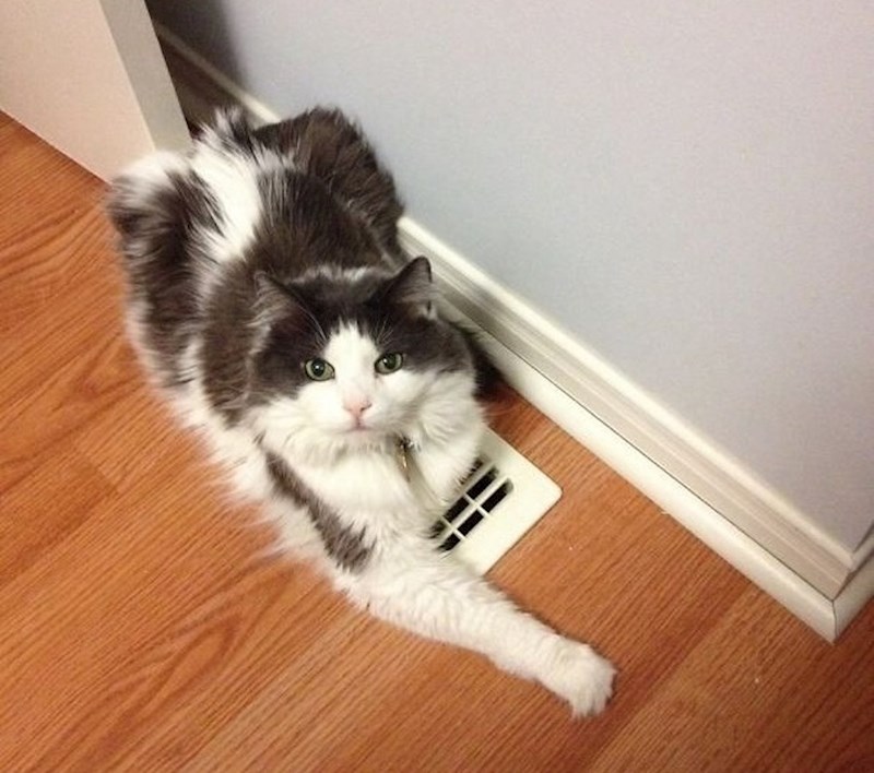 "Moj brat se pitao zbog čega mu je hladno u sobi..."