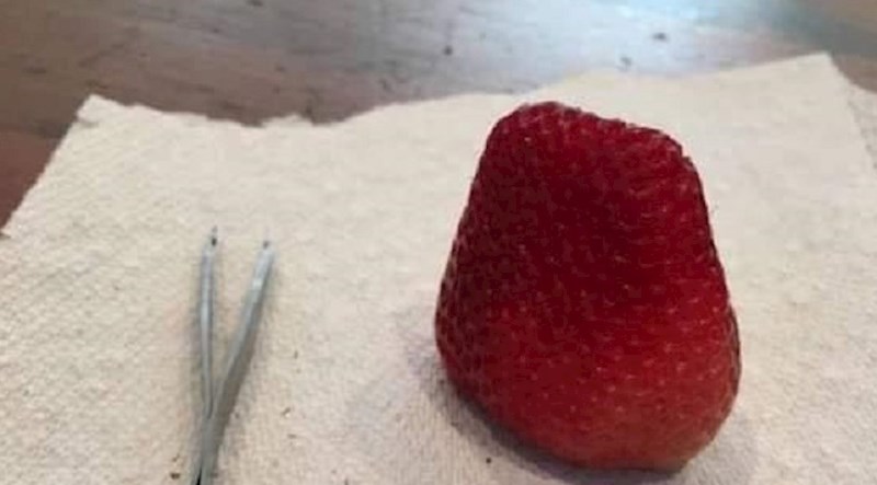 Na internetu kruže presmiješne fore na temu izolacije, pogledajte što je ova osoba radila