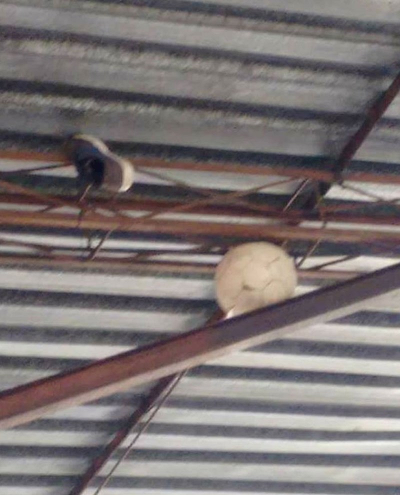 Slika koja ne treba komentar. Svi smo ovo doživjeli kao djeca