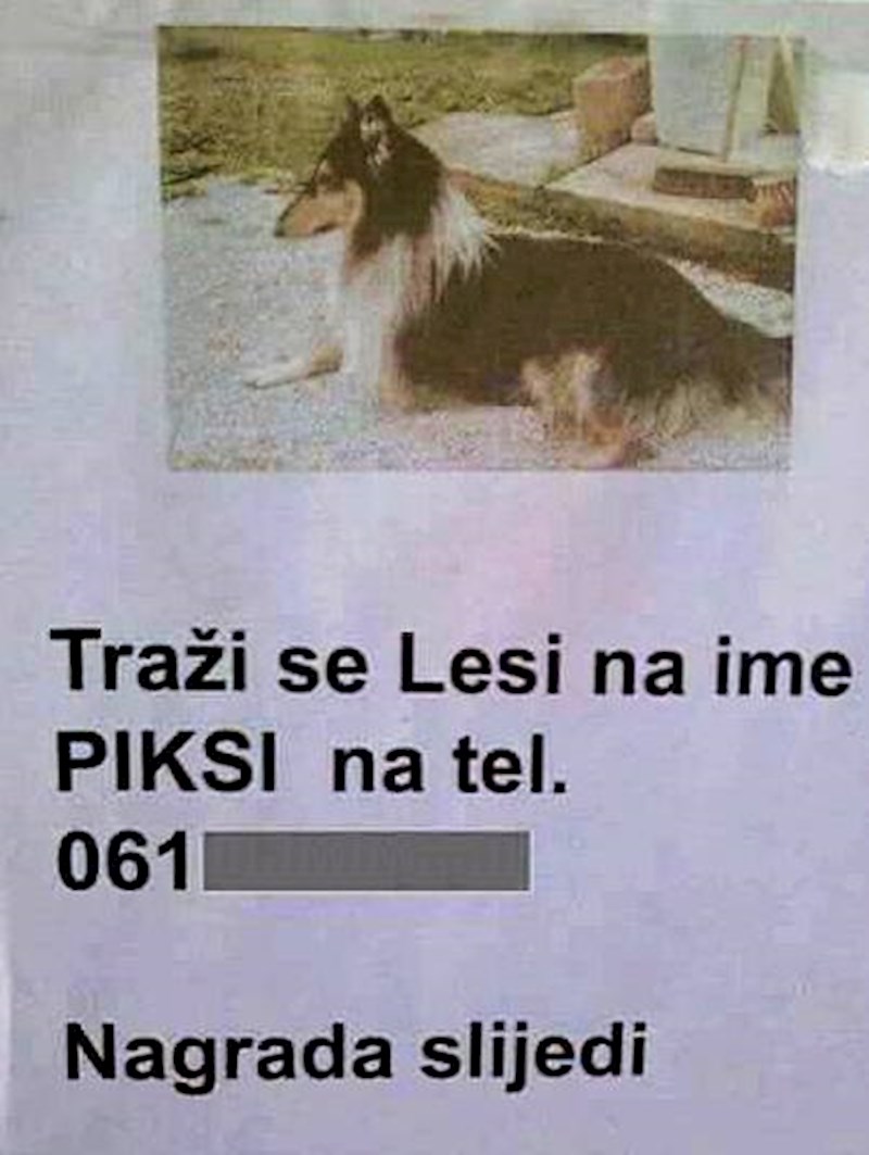 Nadamo se da će se Lesi, ili Piksi, sretno vratiti svojim vlasnicima :D