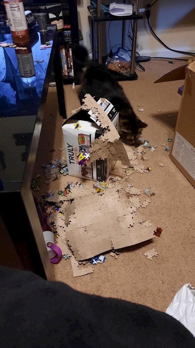 "Završavao sam puzzle od 1000 komada kad je mačka pretrčala preko stola i sve gurnula na pod"