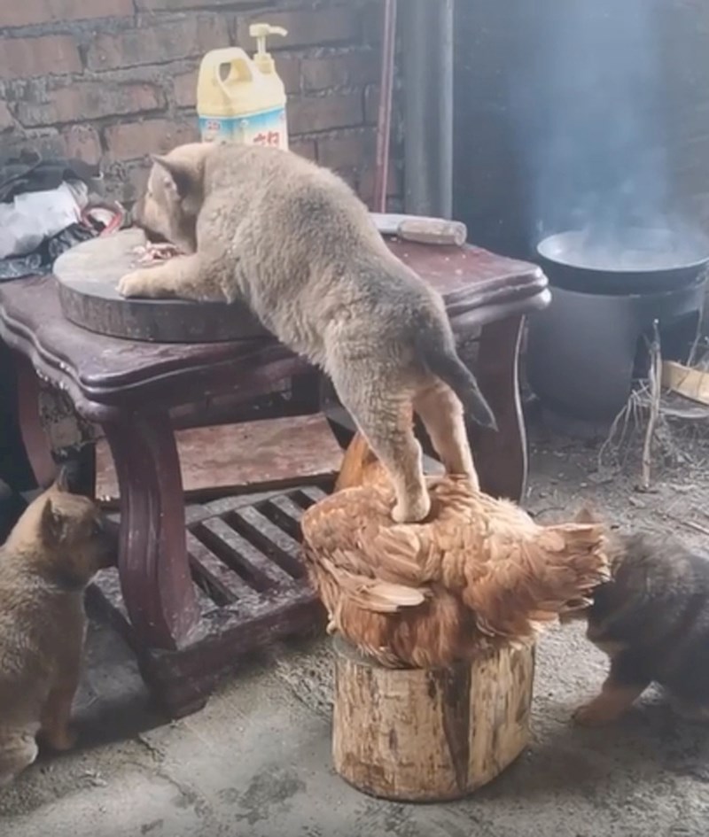 Za što služe prijatelji: