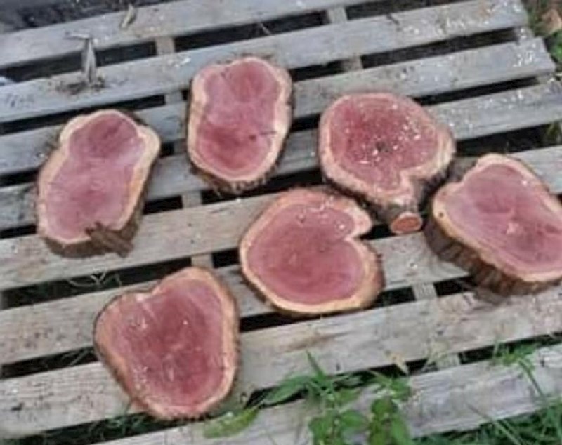 Cedar koji izgleda jako ukusno...