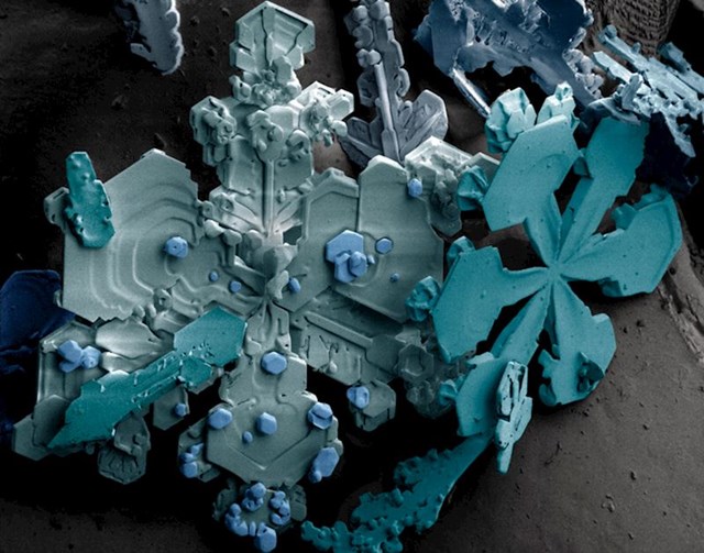 Snježne pahulje pod elektronskim mikroskopom
