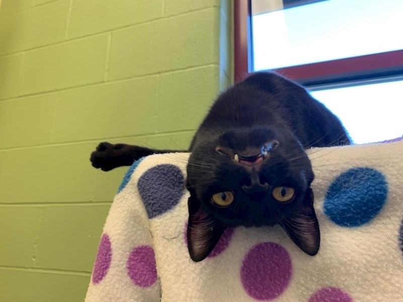 "Ne zna što bi radila..."