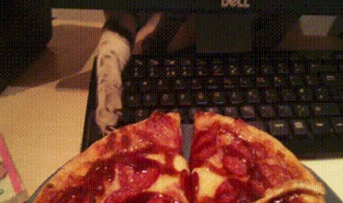 Čovjek je naručio pizzu, mačka je iskoristila njegovu nepažnju i dogodilo se nešto presmiješno