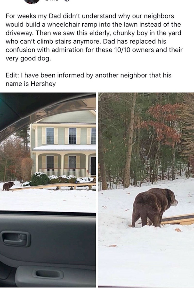 Obitelj je napravila rampu za psa ispred kuće kako bi se ovaj starac mogao kretati