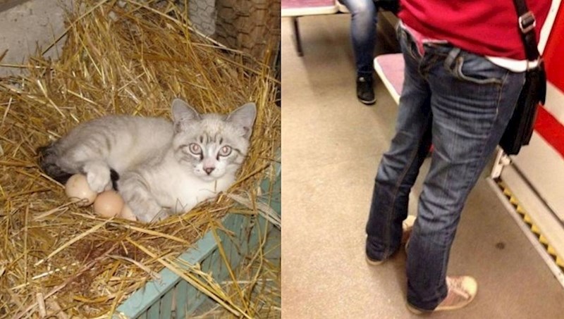 30 slučajeva kad su ljudi fotkali nešto što je istovremeno i smiješno i bizarno