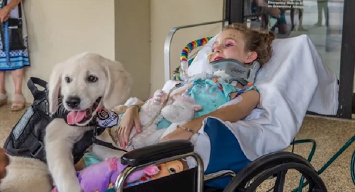 Obitelj je zabilježila dirljiv susret paralizirane djevojčice i njenog budućeg psa pomoćnika