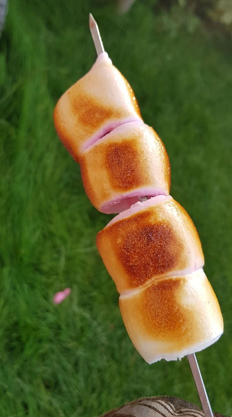 Sljezovi kolačići koji izgledaju kao meso