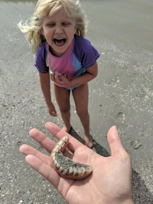 Tražila je zube morskog psa, mama nije mogla vjerovati čije je zube našla..