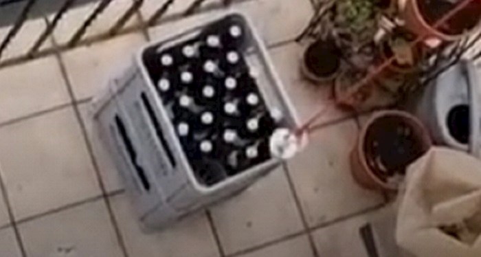VIDEO Pogledajte kako su tipovi susjedu ukrali pivo. Malo je kazati da su maštoviti