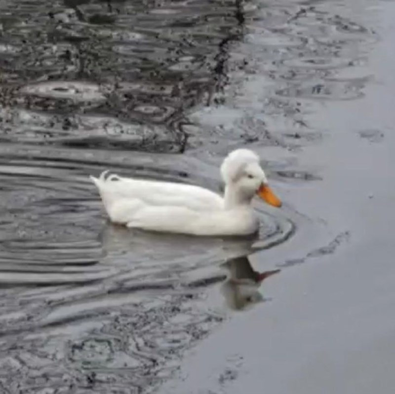 "Bila sam na frizuri"