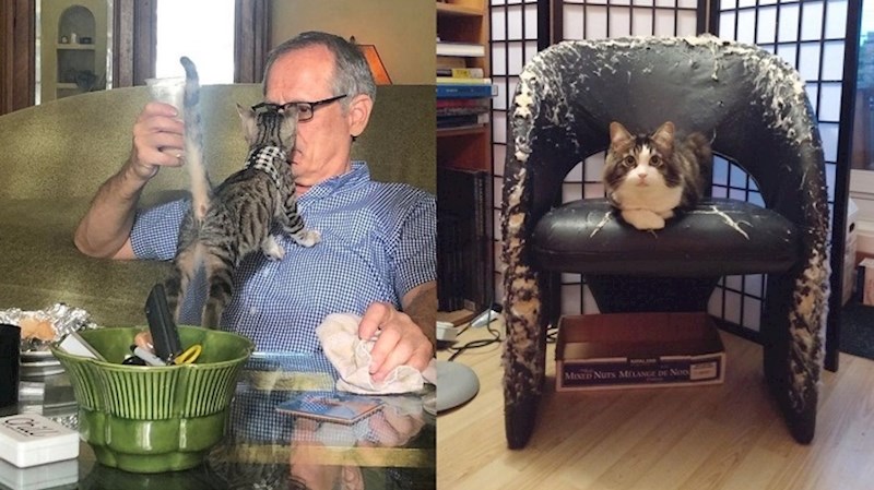 Ljudi koji su samo htjeli slatku macu, ali nisu razmišljali o posljedicama