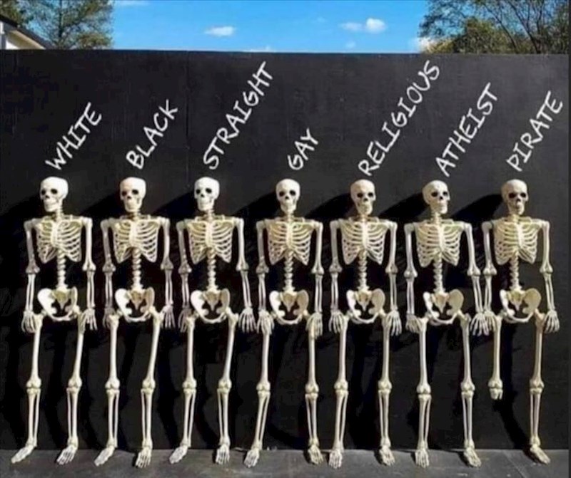 Dobro pogledajte sliku