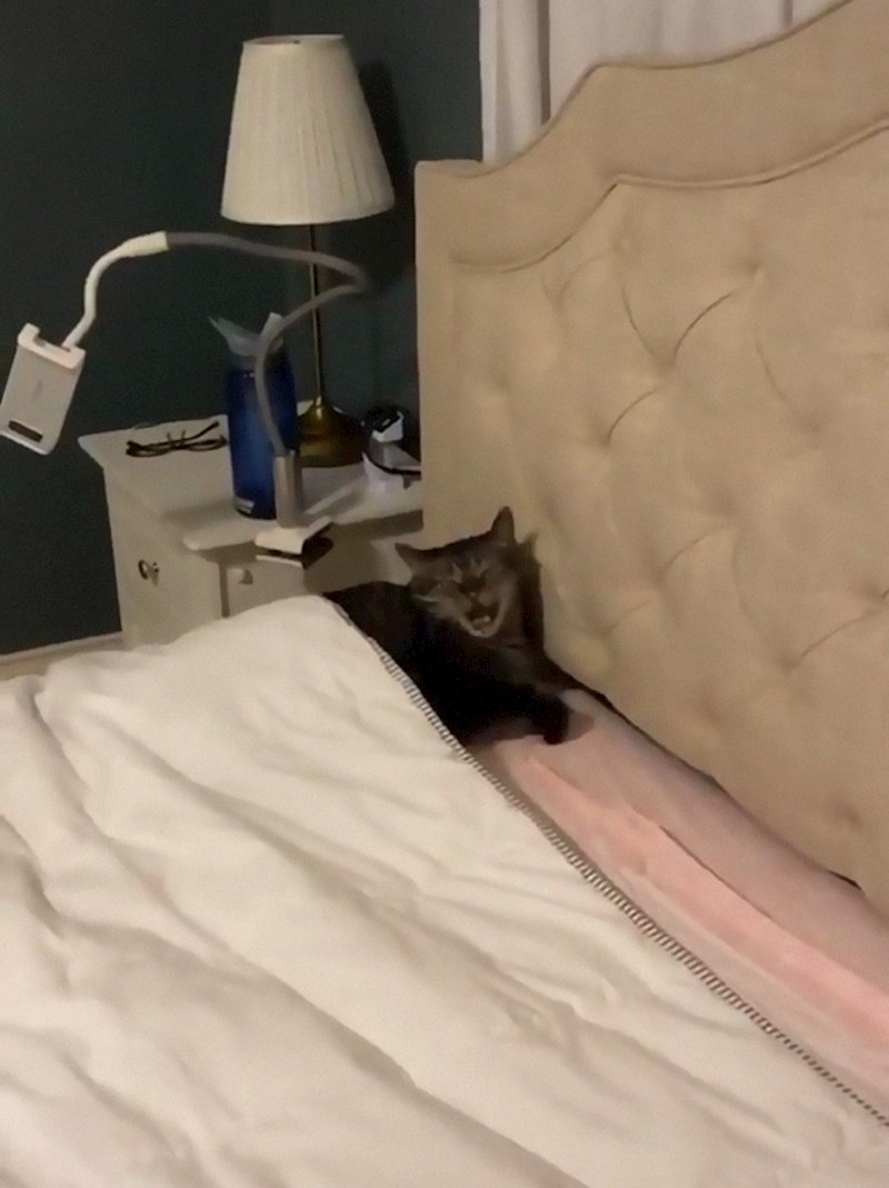 Po jutru se dan poznaje!