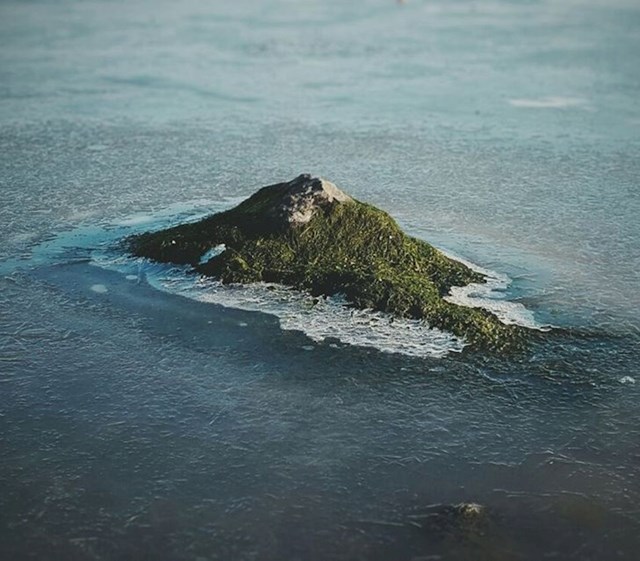 Ovo nije otok, nego običan kamen prekriven mahovinom...