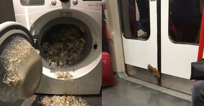 Ako ste imali loš dan, ovi ljudi će vas uvjeriti da vam ipak nije toliko loše