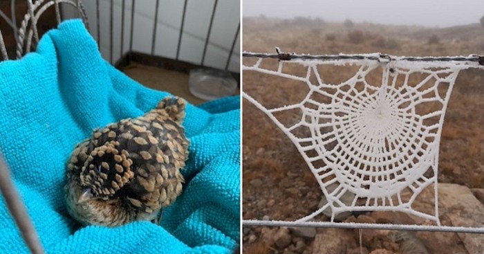 25 fotografija koje će prevariti vaš dobar vid