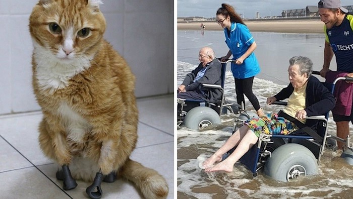 12 dirljivih fotki zbog kojih ćete sigurno pustiti suzu