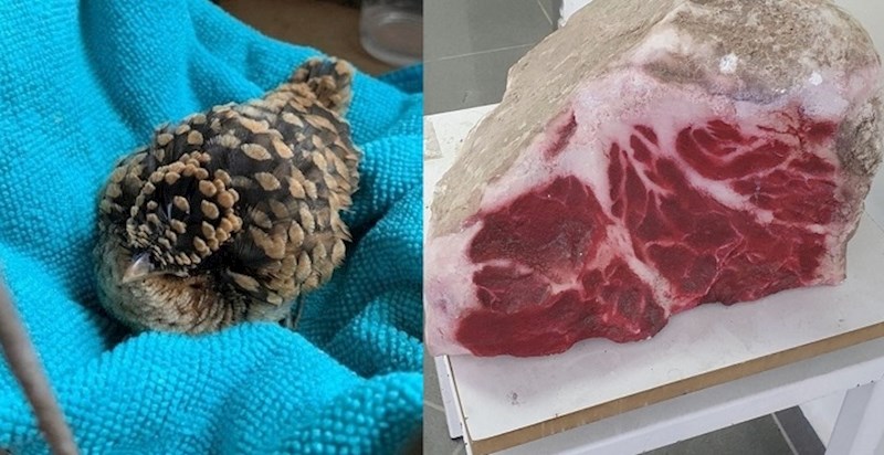 16 sličnih predmeta i prirodnih pojava koje ćete morati pogledati dvaput