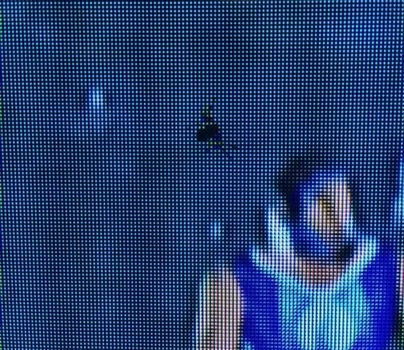 "Pauk je ušao u moj televizor"