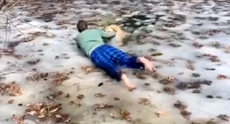 Pogledajte video hrabrog spašavanja zlatnog retrivera iz zaleđenog jezera