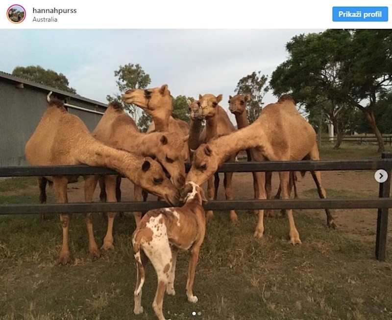 Misli da je jedan od njih