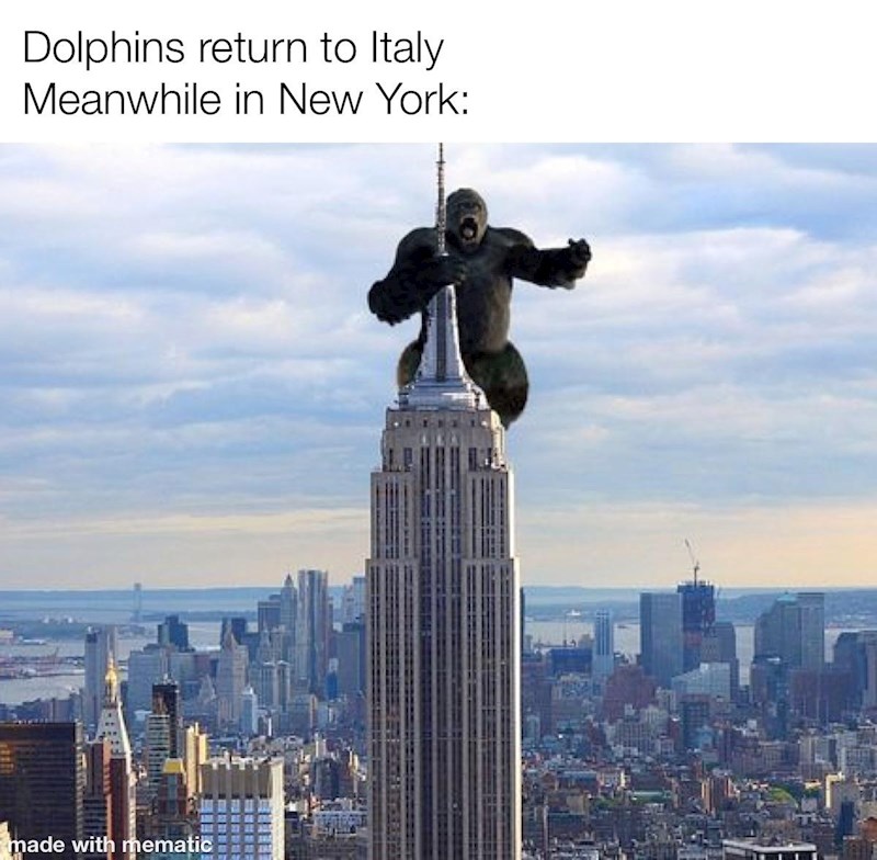 Trenutno u New Yorku: