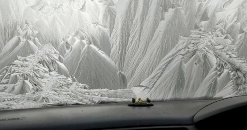 Ljudi su slikali nevjerojatne stvari na koje su naišli. Možete li pogoditi što je na slici?