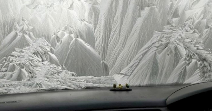 Ljudi su slikali nevjerojatne stvari na koje su naišli. Možete li pogoditi što je na slici?