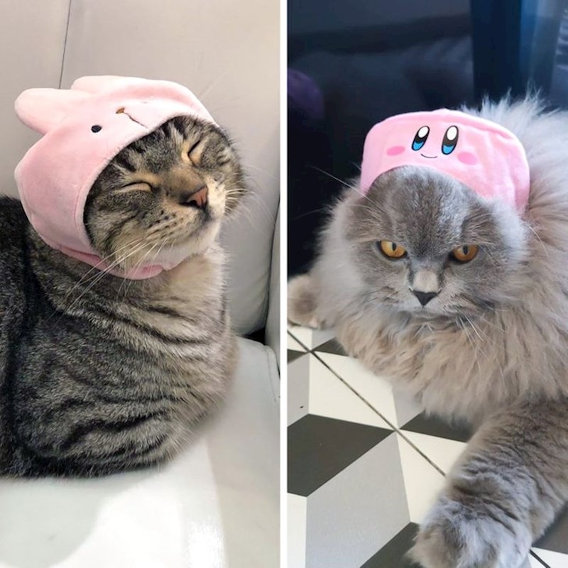 "Skidaj mi to s glave i nitko neće stradati!"