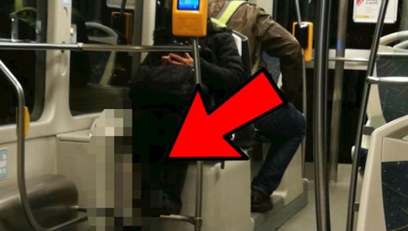 Pogledajte što je žena unijela u zagrebački tramvaj, kontrola ju sigurno neće gnjaviti