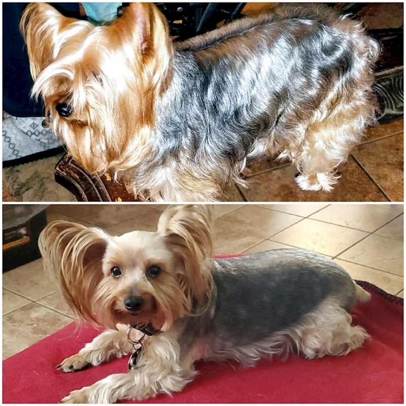 Prije i nakon posebnog tretmana: