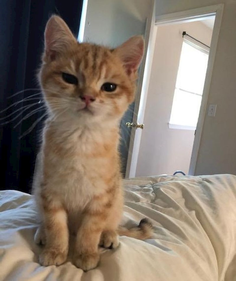 "Spavala sam malo duže i nije dobila svoj doručak..."