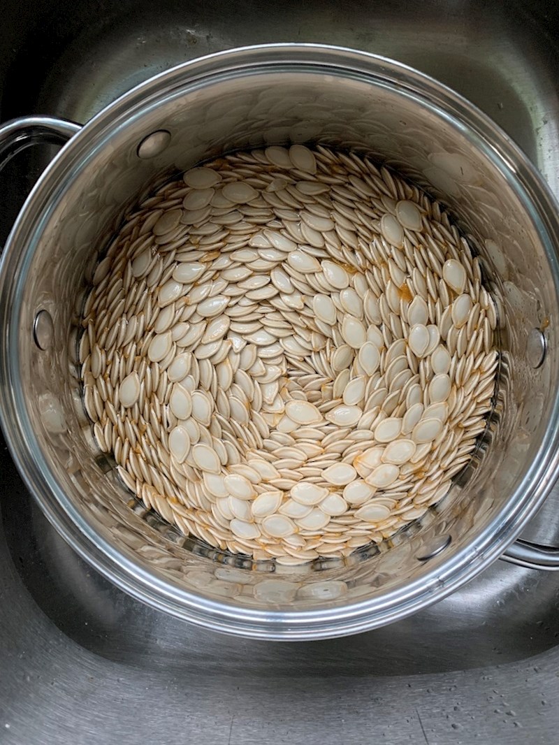 Način na koji su poslagane ove bundevine sjemenke...