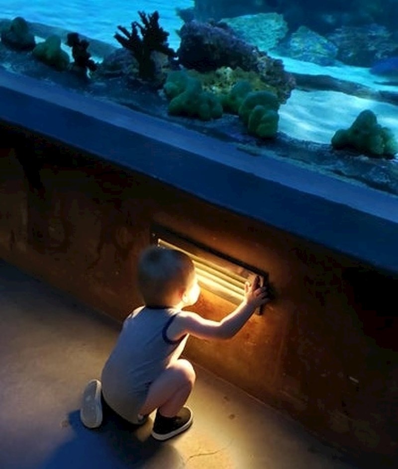 "Od cijelog vodenog parka on je oduševljen ovim"