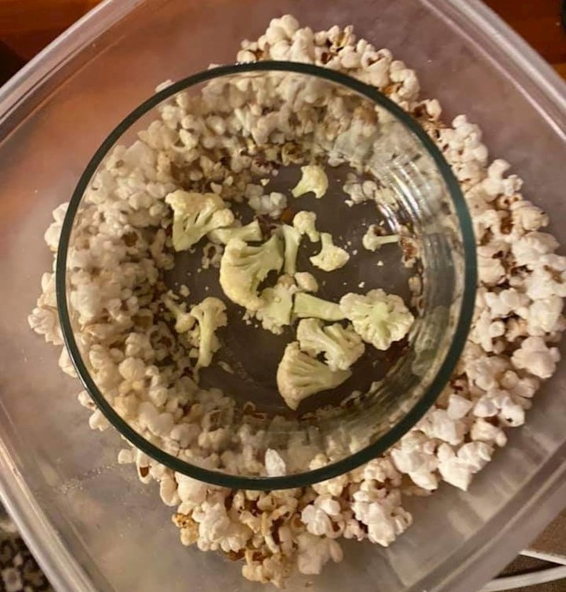 Ova mama ovako jede kokice jer kada ju dijete zatraži komad ona mu da cvjetaču