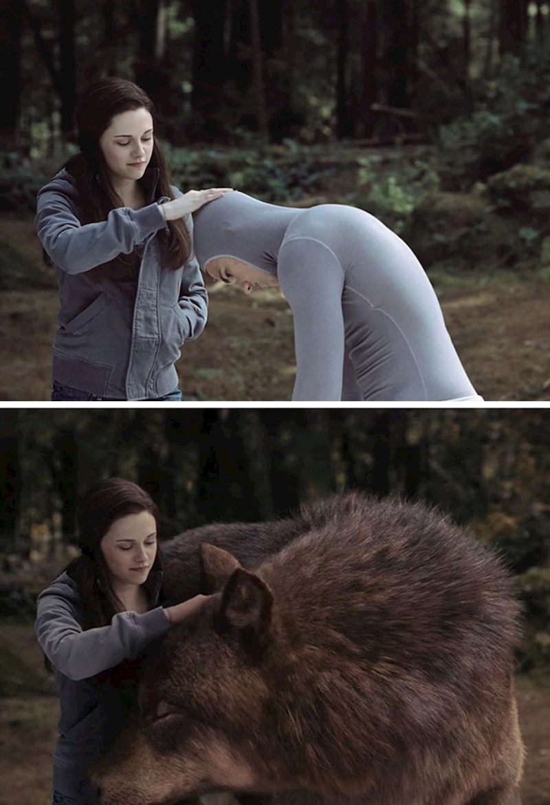 Vukodlaci u Twilightu