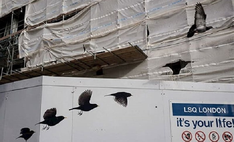 Nevjerojatne slučajnosti koje će vas oduševiti