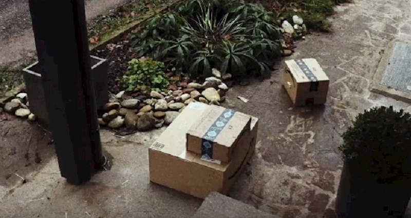 Nadzorna kamera snimila je čudnu krađu paketa, vlasnici su plakali od smijeha kada su shvatili tko je lopov