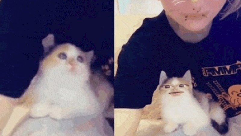 Cura je pomoću aplikacije zamijenila lice s mačkom i to je ispalo urnebesno