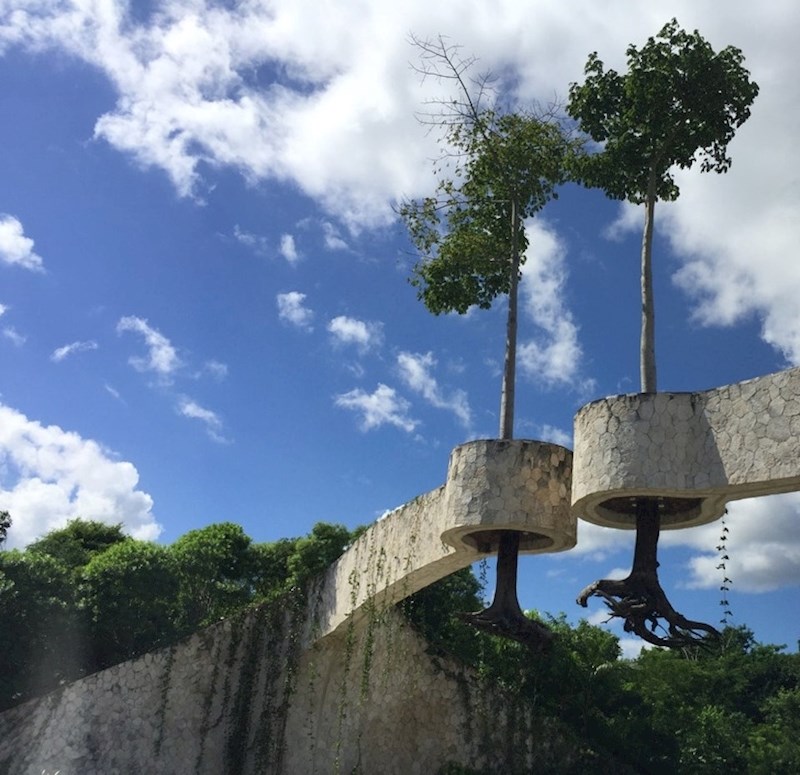 Lebdeća stabla u Meksiku