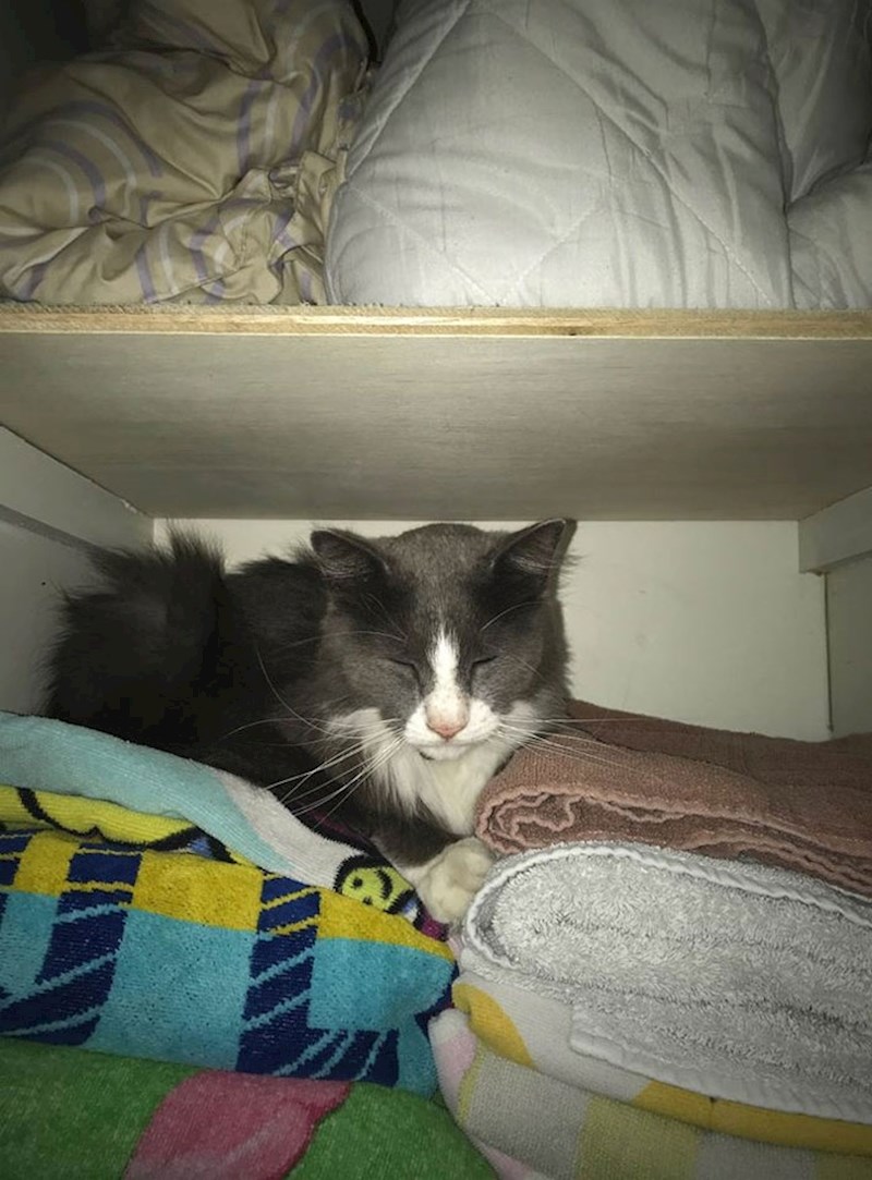 A evo i malog lopova :D