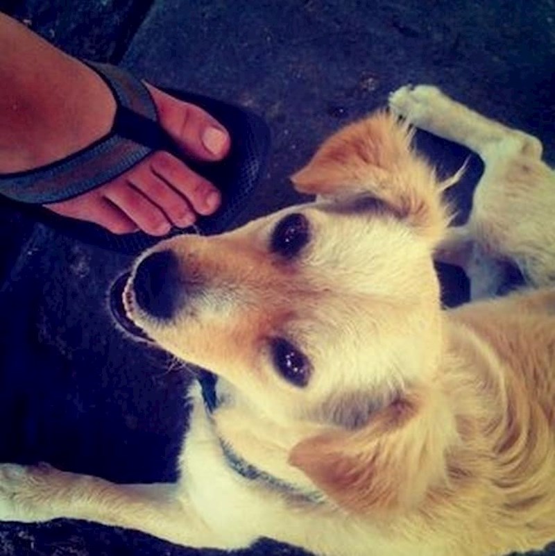 Prva fotografija objavljena na Instagramu