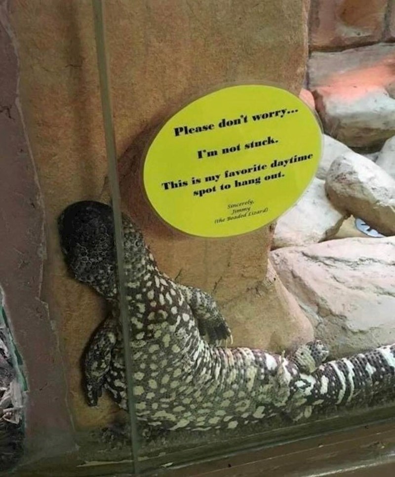 "Molim vas ne brinite...Nisam zapeo. Ovo je moje omiljeno mjesto za opuštanje."